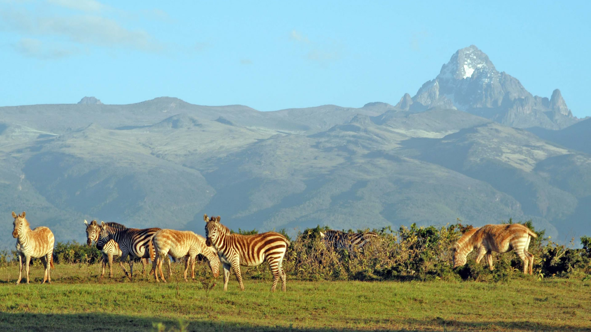 aberdare national park