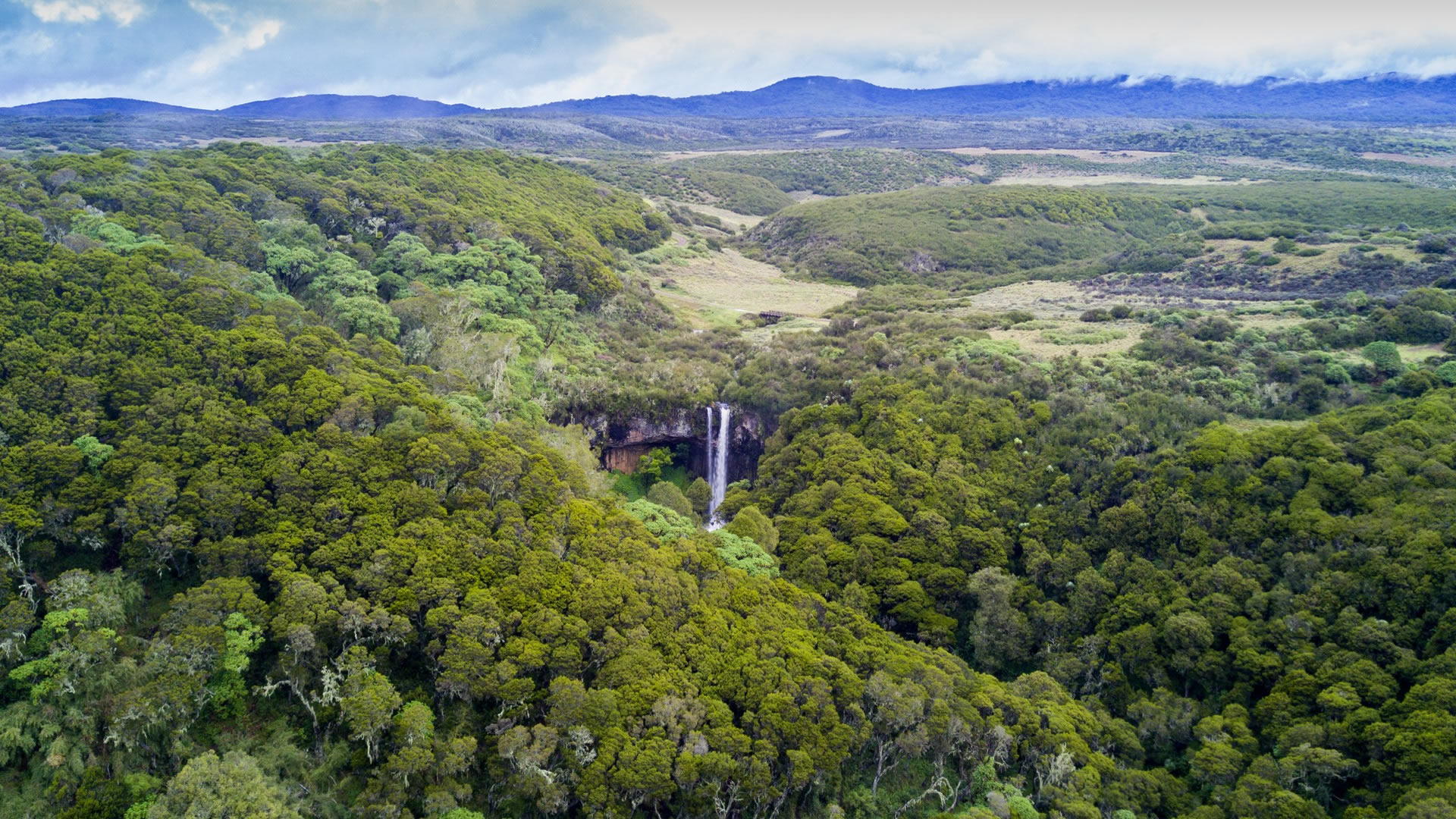 aberdare national park