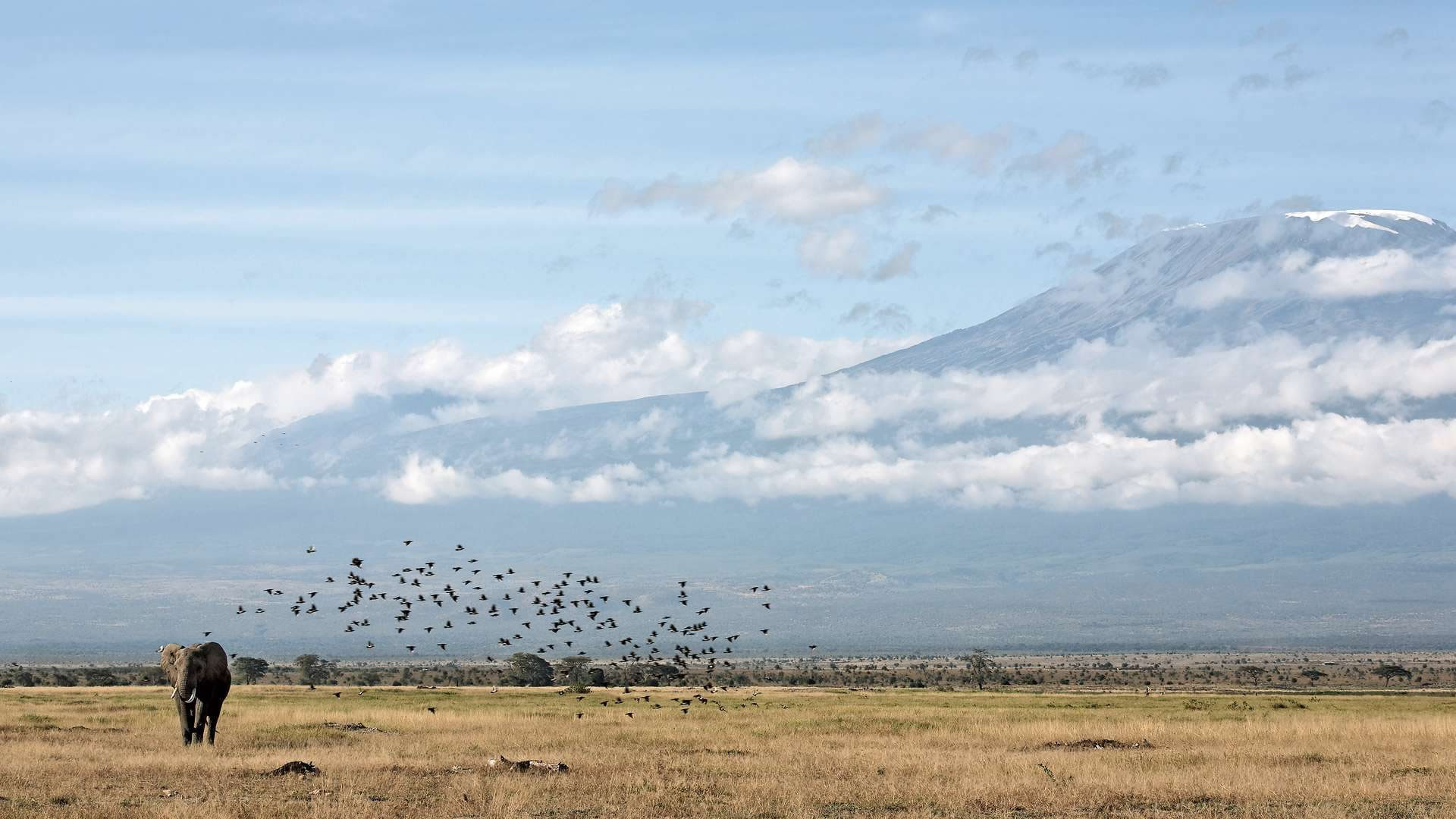 amboseli national park