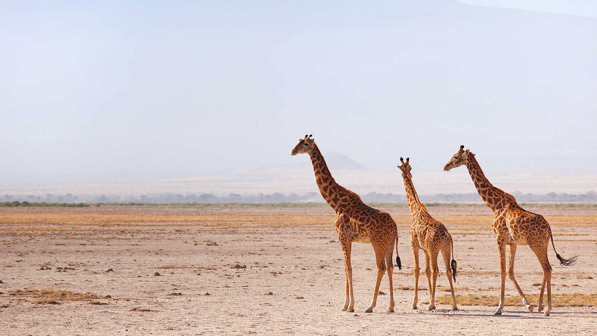 amboseli national park