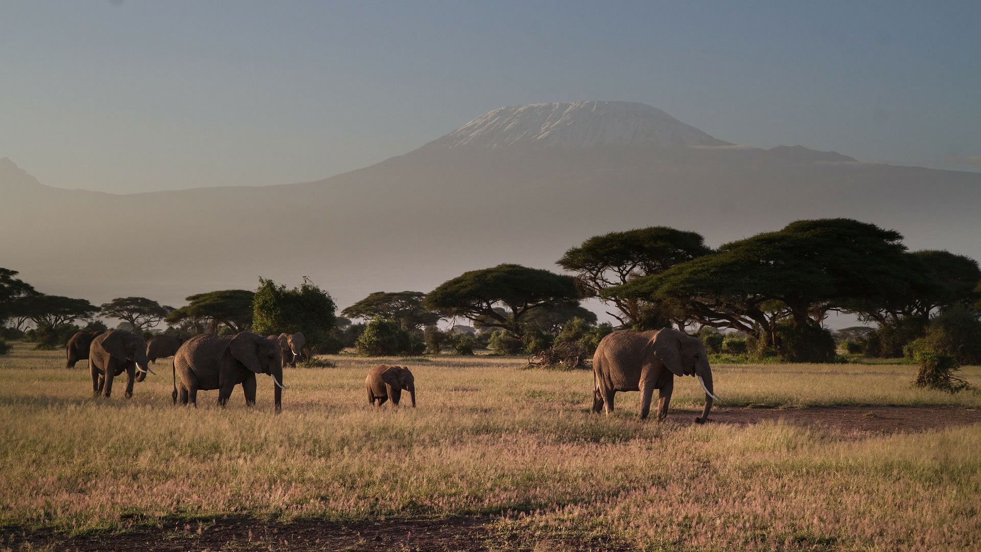 amboseli national park