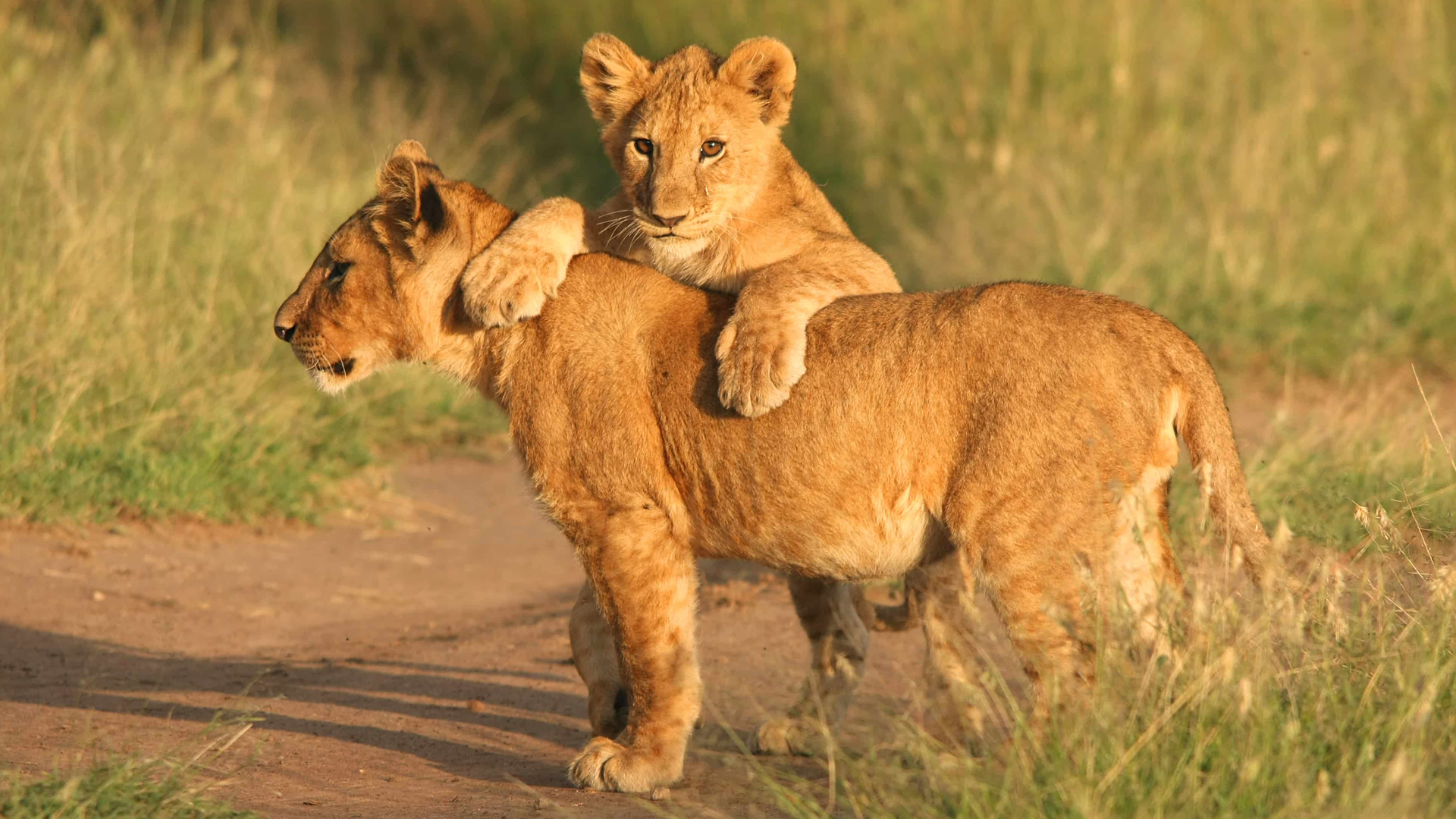 lake manyara national park