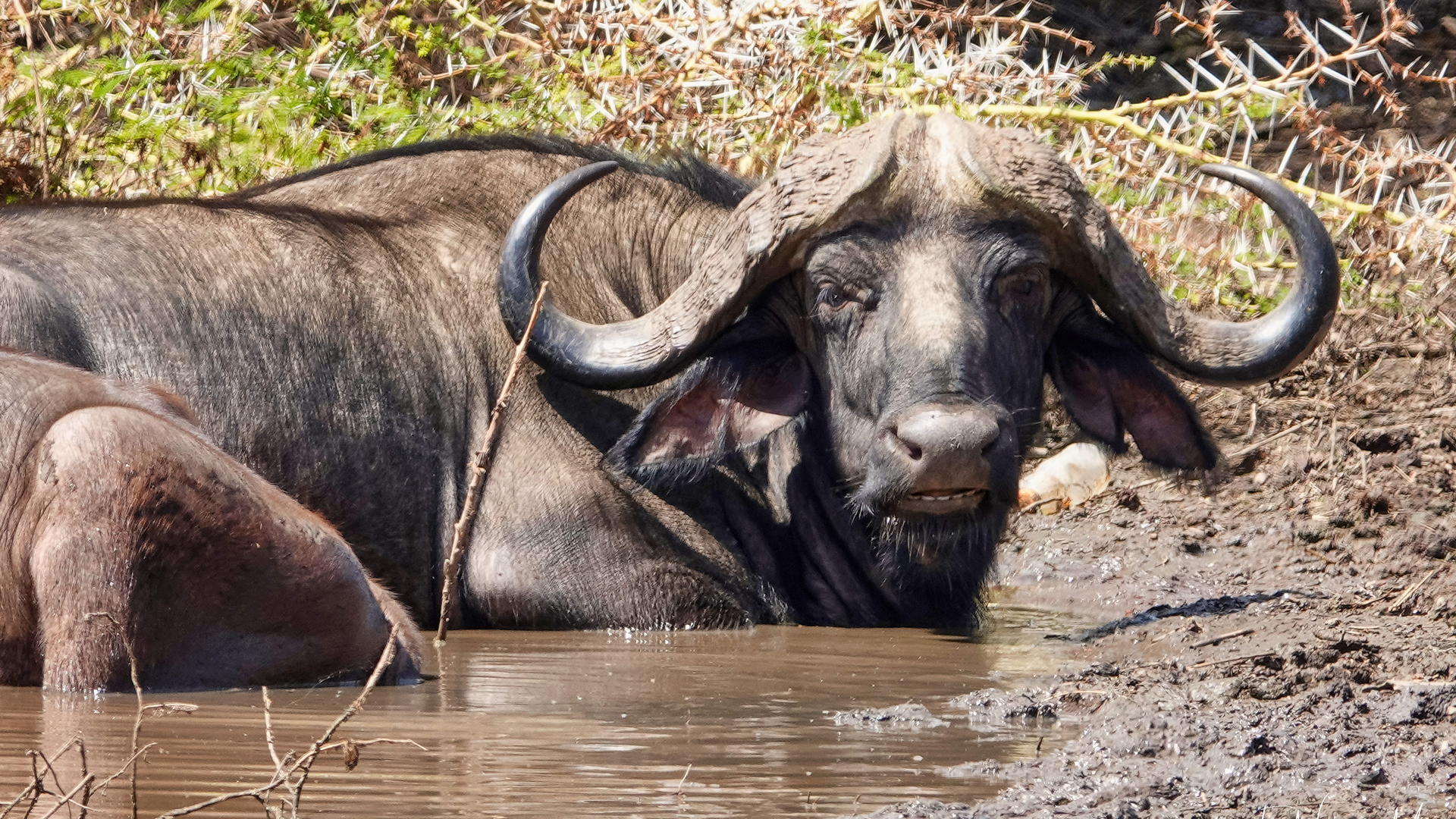lake manyara national park