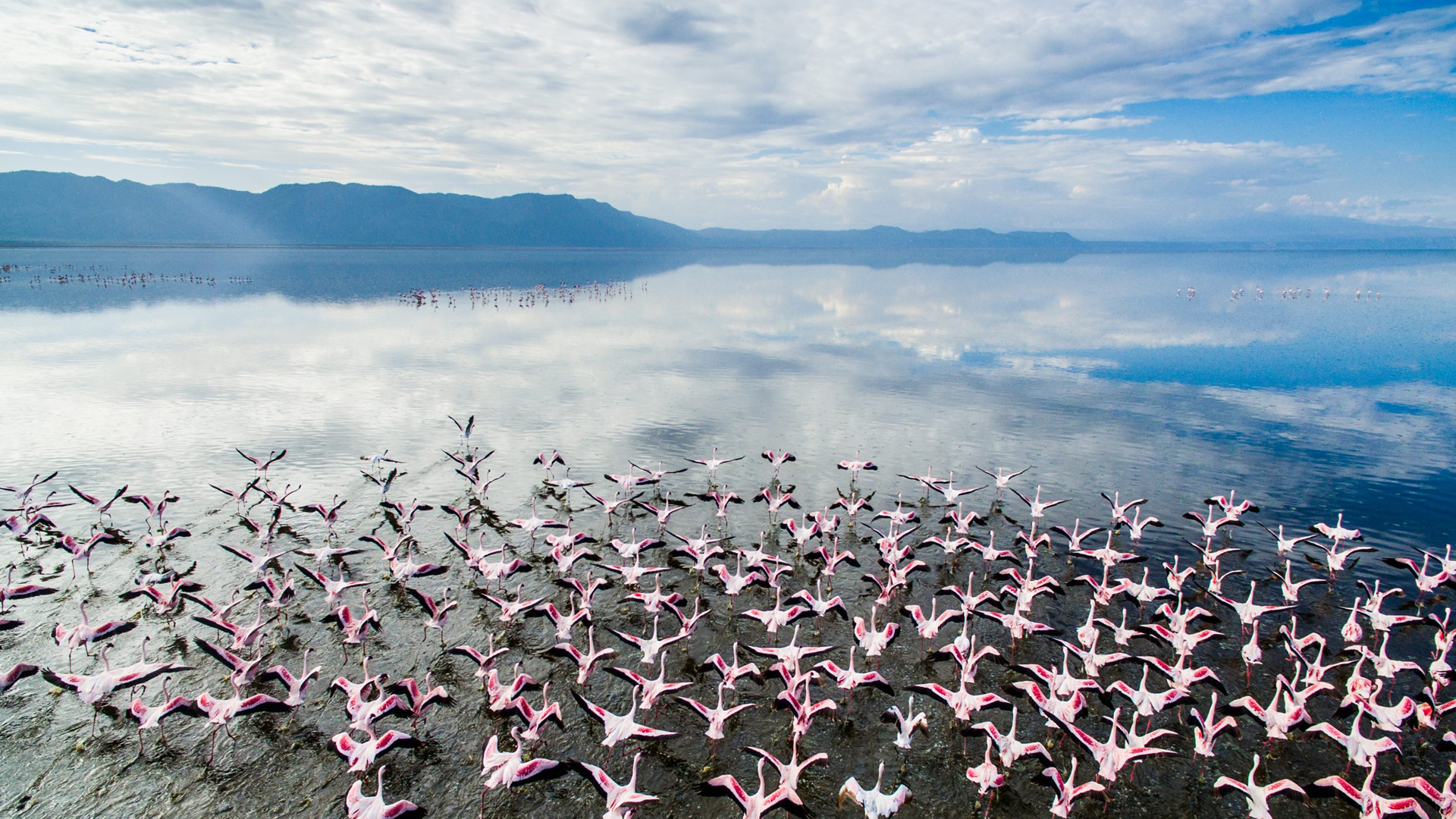 lake manyara national park