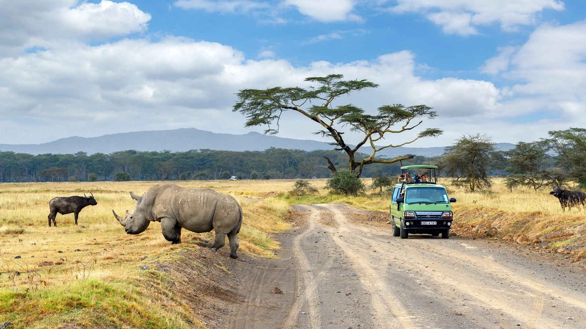 lake nakuru national park