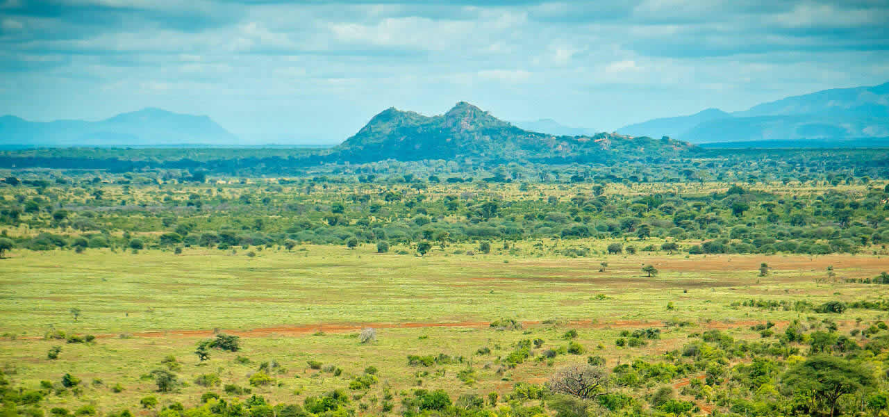 meru national park