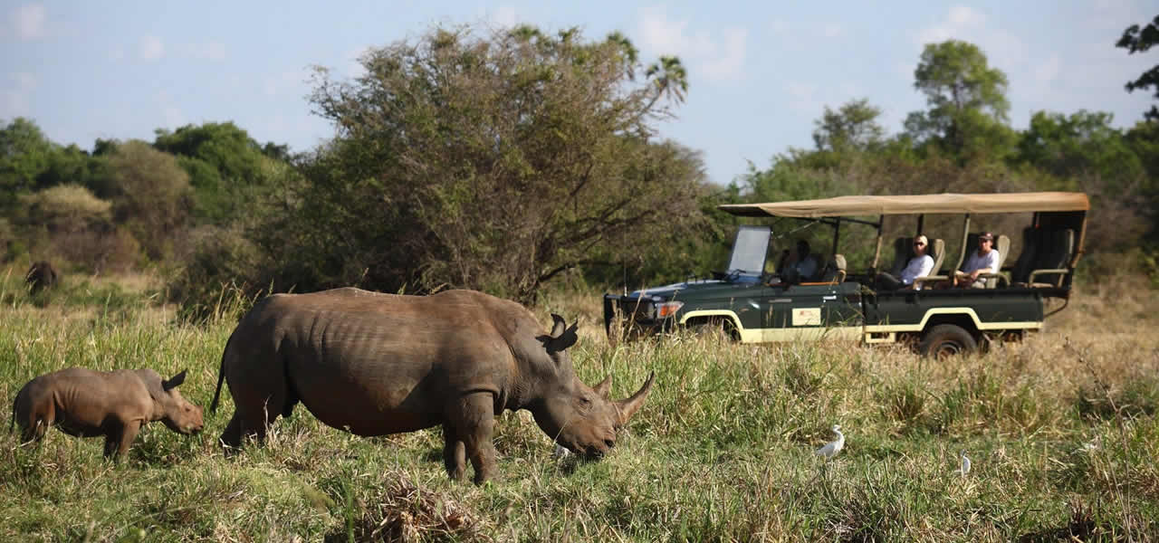 meru national park