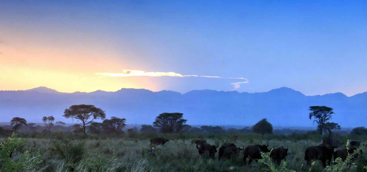 meru national park