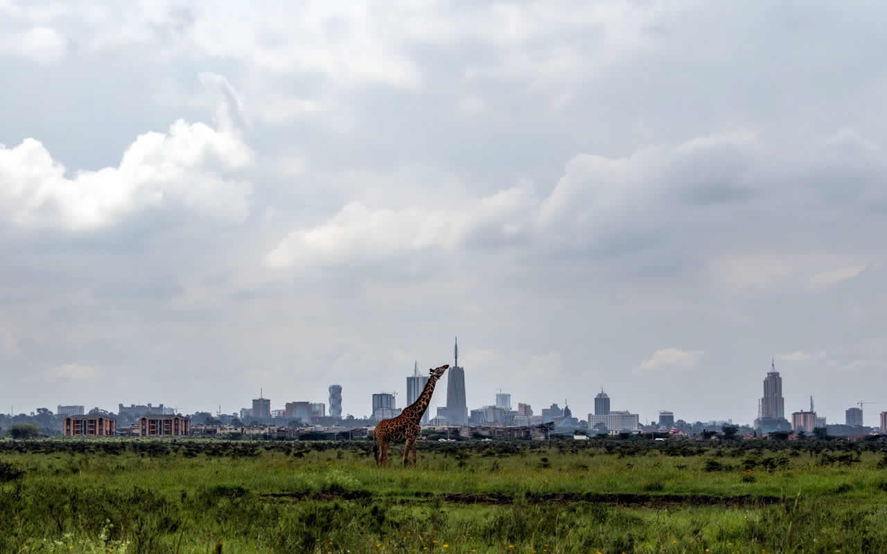 nairobi national park