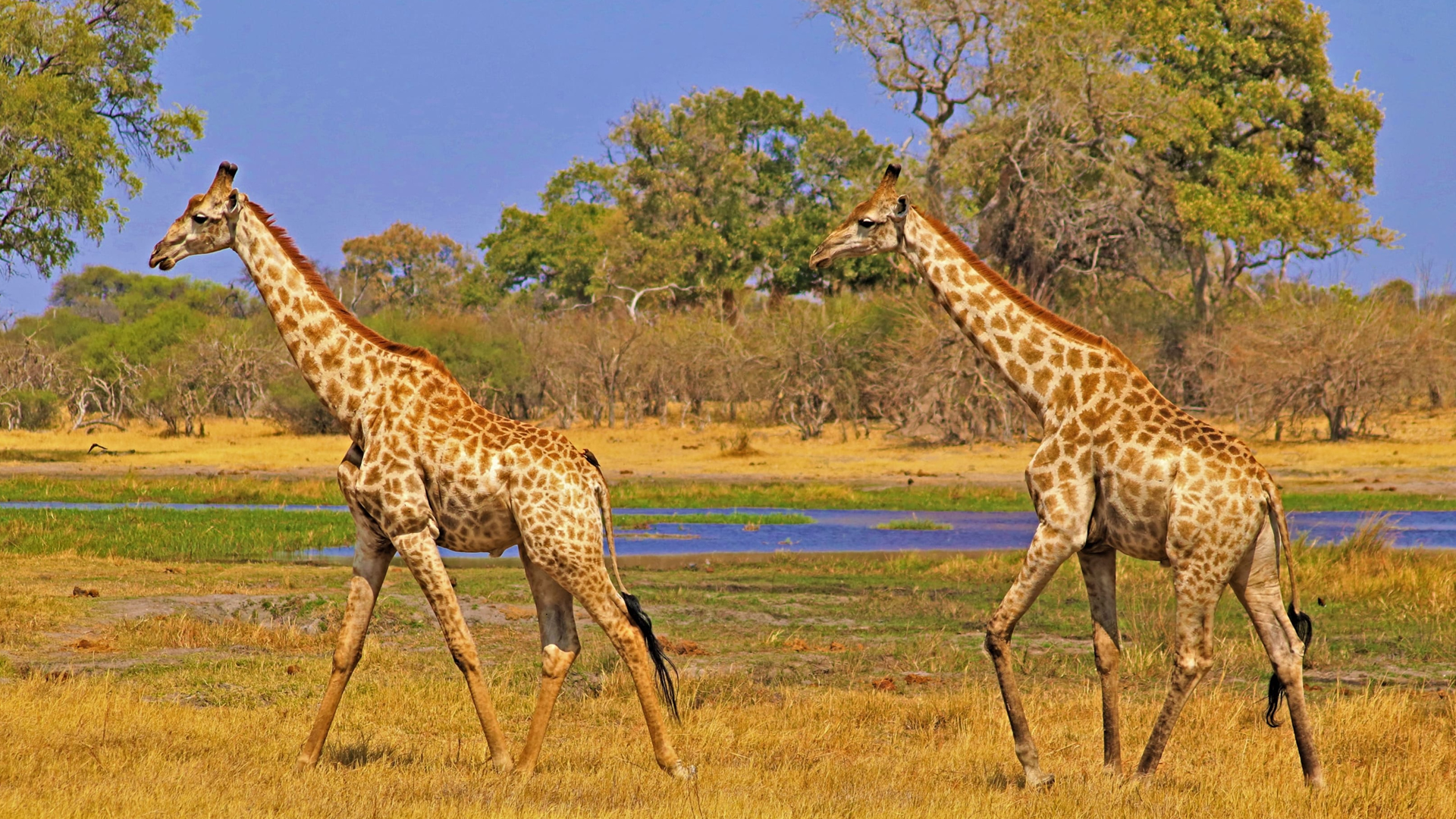 nyerere national park