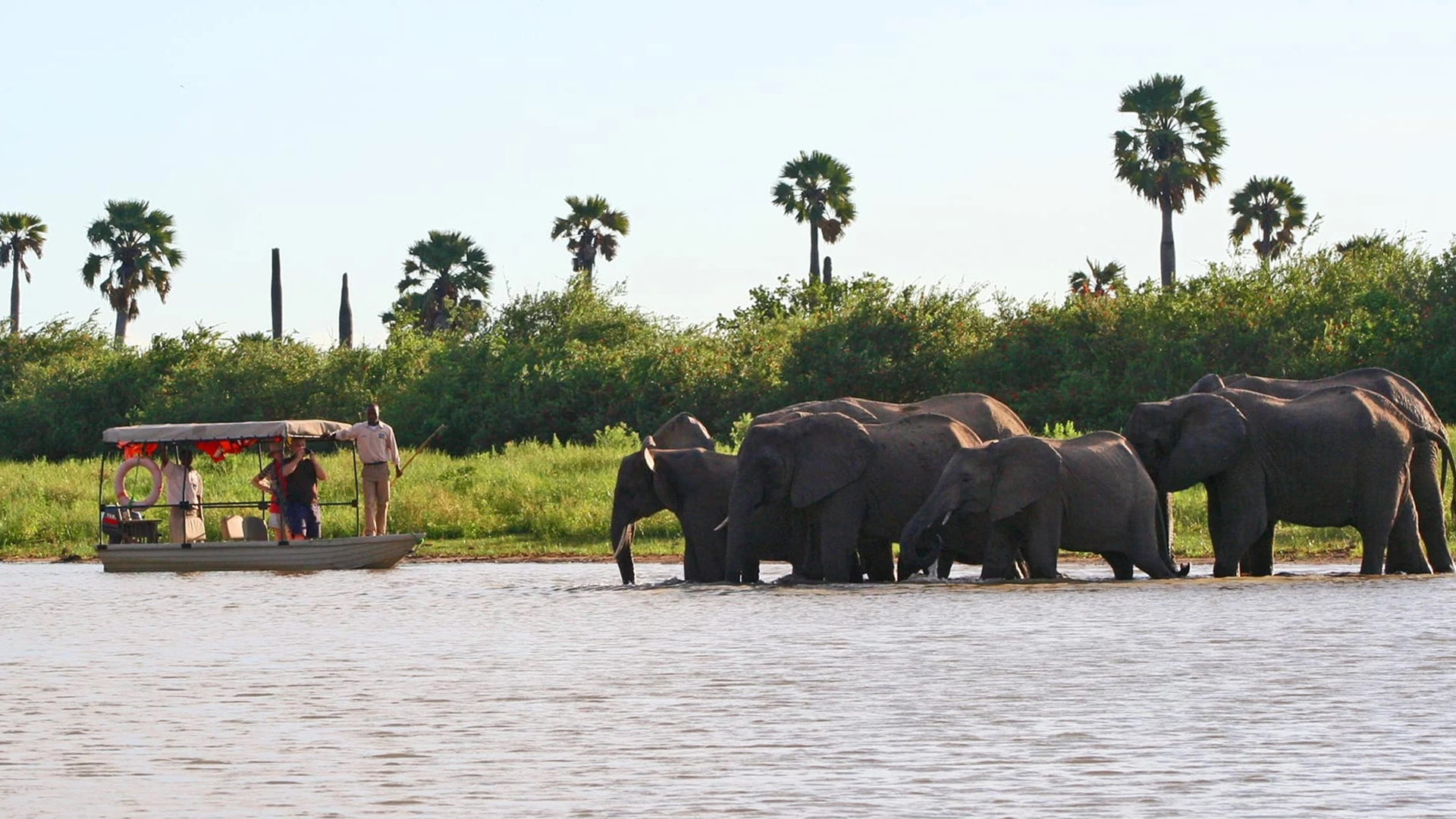nyerere national park