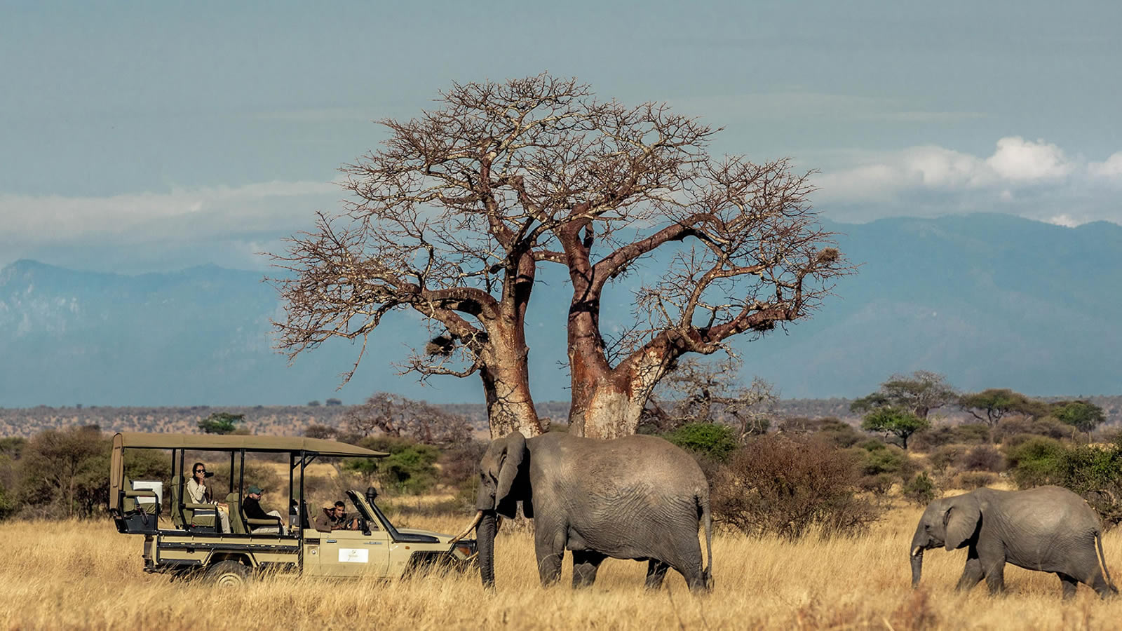 tarangire national park