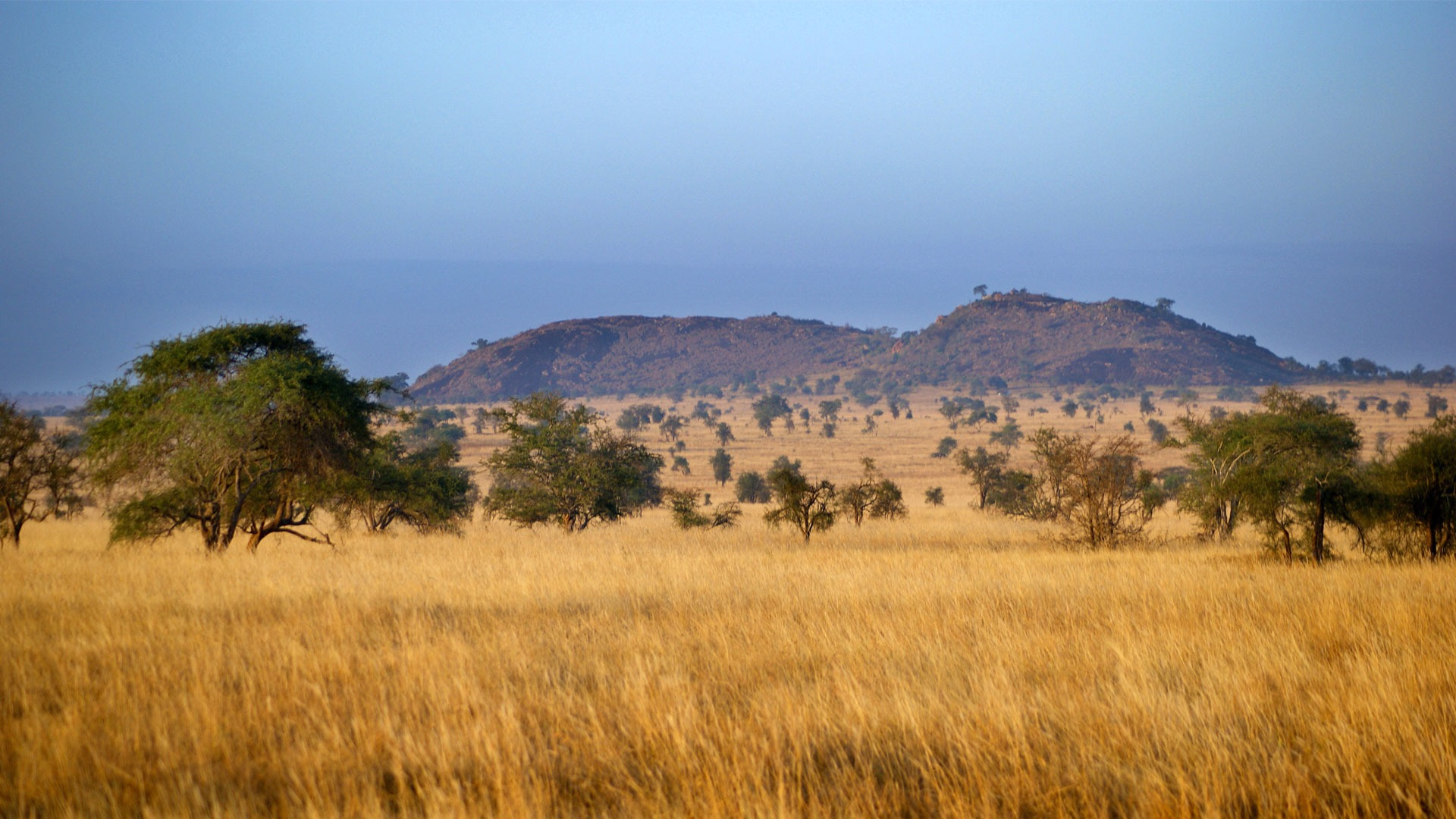 tsavo west national park
