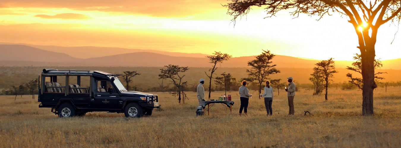 10 days epic wildlife experience 10 days epic wildlife experience