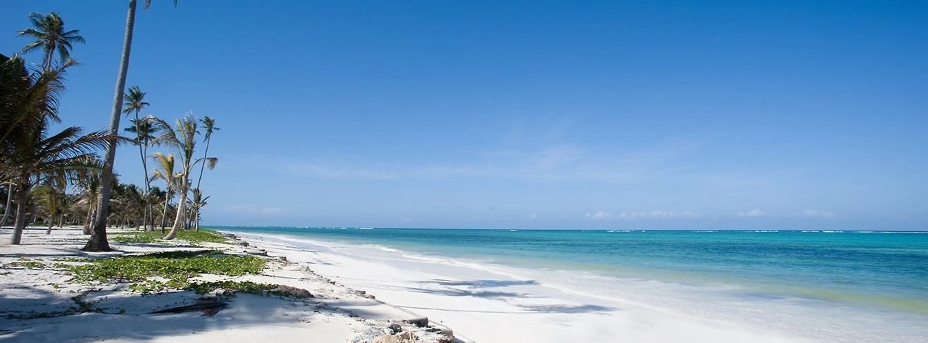 11 days bush & seaside escapes