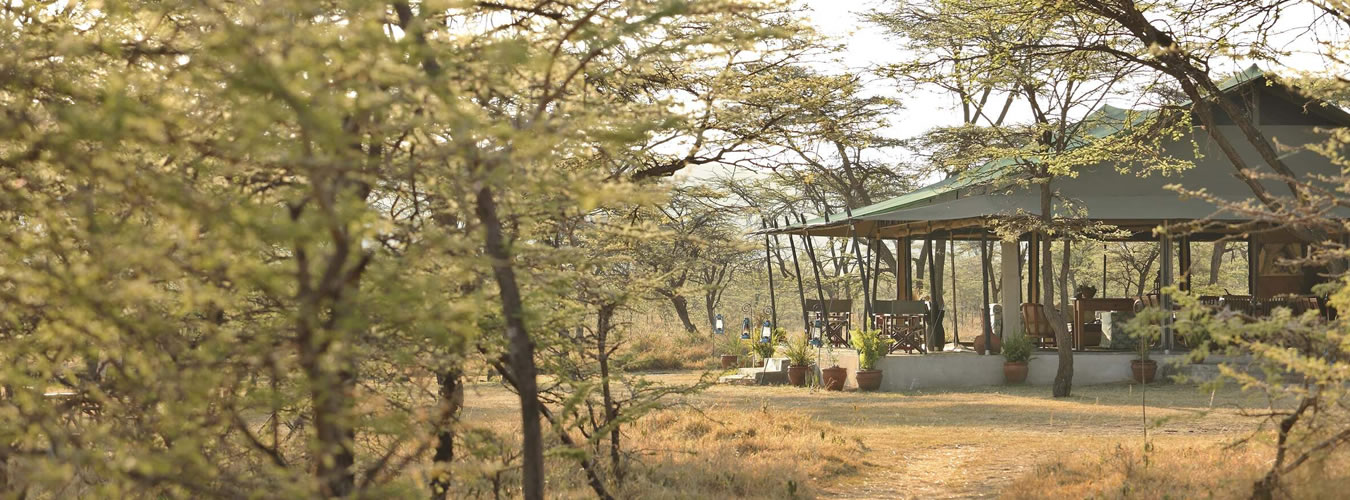 8 days kenya family experience